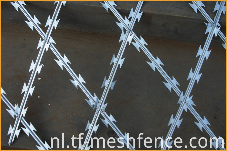 welded concertina razor wire mesh 3